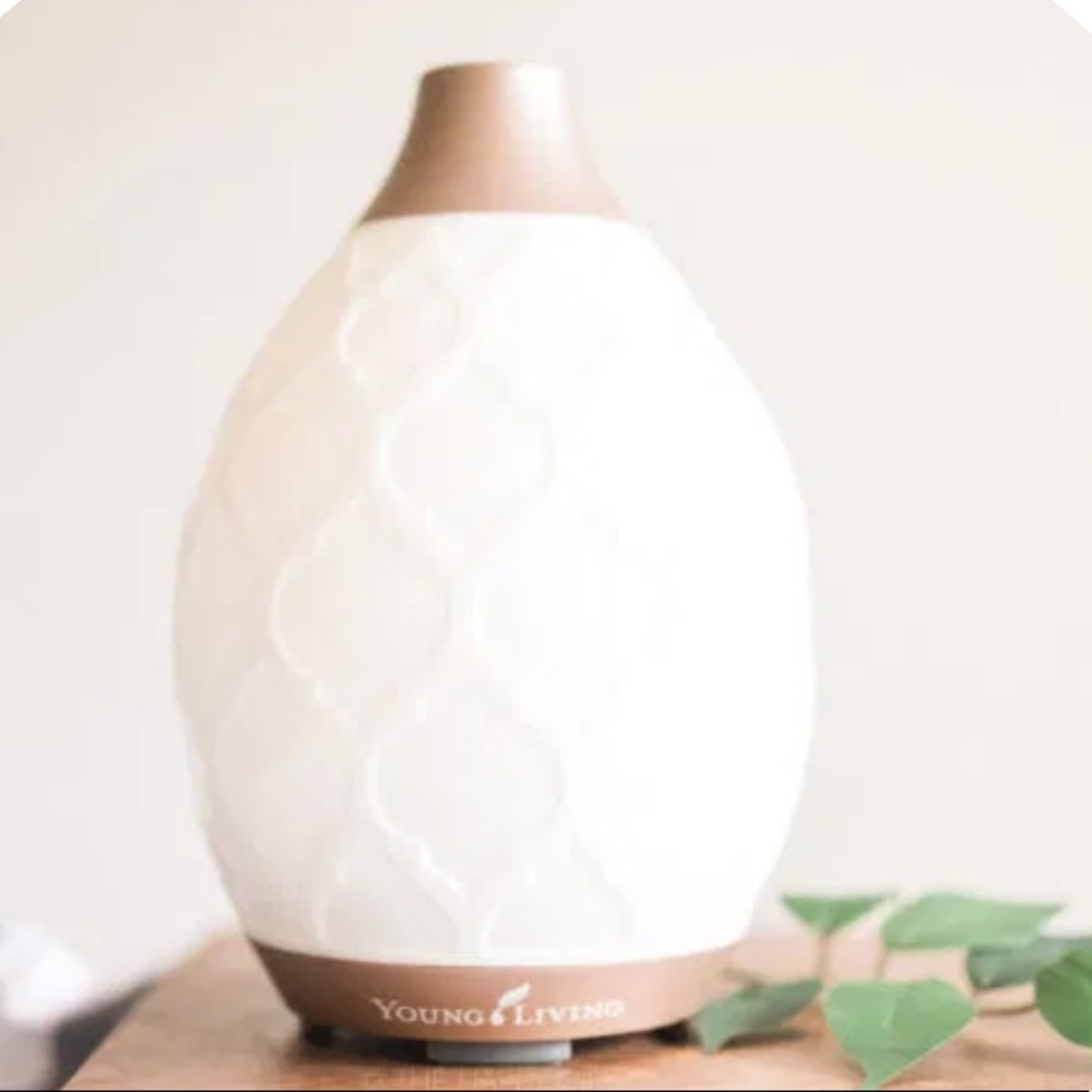 Young Living Desert Mist Diffuser - Picture 1 of 10
